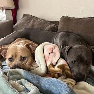 Meet your Posher, Max